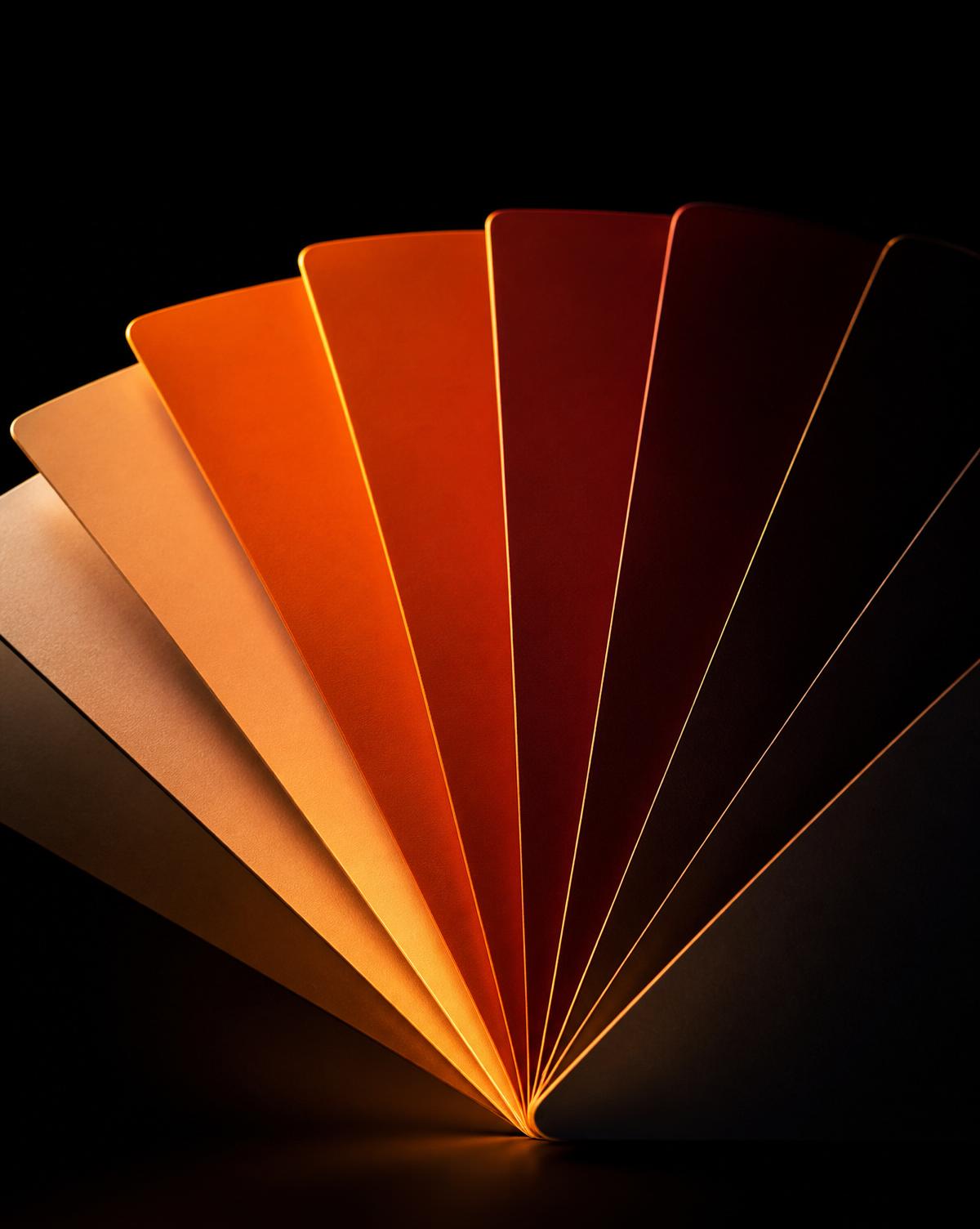 Golden Hour — Lightroom Presets